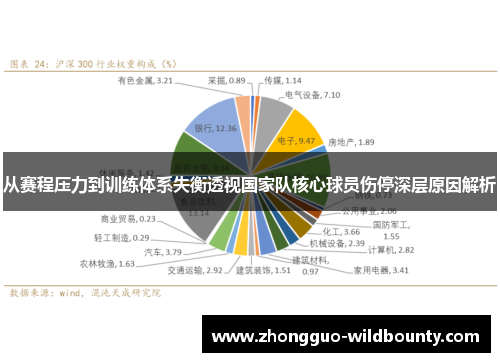 从赛程压力到训练体系失衡透视国家队核心球员伤停深层原因解析