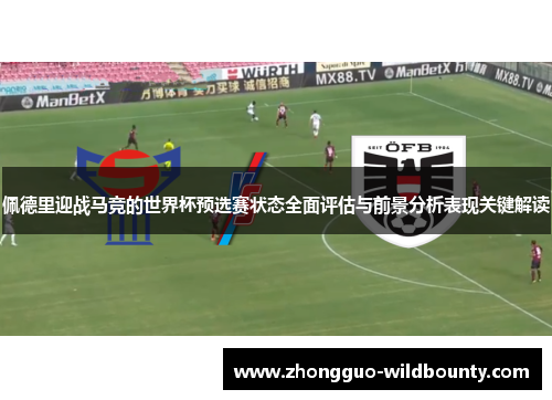 佩德里迎战马竞的世界杯预选赛状态全面评估与前景分析表现关键解读